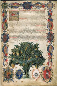 Página de texto com margens ornamentais, ilustração de 