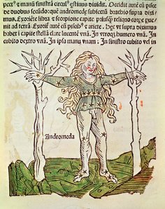 A constelação de Andrômeda, uma ilustração do &39;Poeticon Astronomicon&39; por CJ Hyginus, Veneza, 1485 (xilogravura colorida) de Italian School