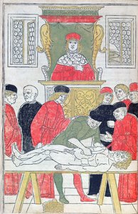 A Dissecção, ilustração de 