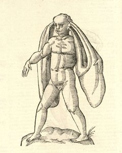 ilustração de Homo Fanesius auritus de Aldrovandis History of Monsters, 1642 de Italian School