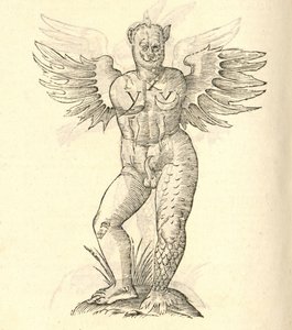 ilustração de um chifres monstro e asas de outro kazakovae History of Monsters, 1642 de Italian School