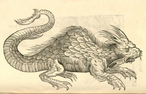 ilustração de efígies de Orobonis Piscis de Aldrovandis História dos monstros, 1642 de Italian School