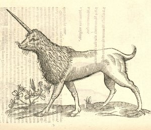 ilustração de uma Camphurch de Aldrovandis História dos monstros, 1642 de Italian School