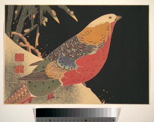 Faisão dourado na neve, c.1900 (xilogravura, tinta e cor sobre papel) de Ito Jakuchu