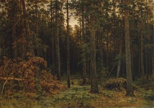 Pinewood, 1885