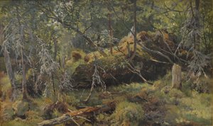 Ramos. Um estudo de Ivan Ivanovich Shishkin