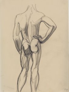 Modelo masculino, visto de costas
