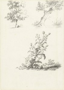 Dois estudos de uma árvore e de um cardo de J.B. Joss (attributed to)