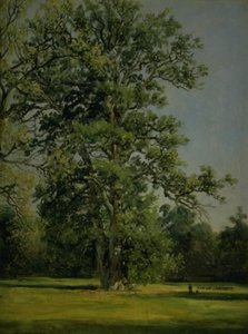 Um Carvalho. Vista do jardim em Wörlitz perto de Dessau de Johan Christian Dahl