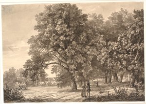 Vista de uma estrada em uma floresta perto de Sorø, Zelândia de Johan Christian Dahl
