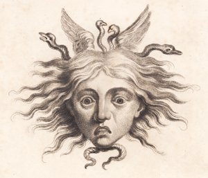 Medusahoved de J.F. Clemens