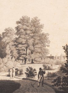 jardim de Nordfeldt de J.F. Clemens