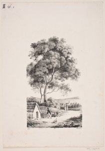 Passeando em uma estrada, para as árvores altas à esquerda de J.F. Møller