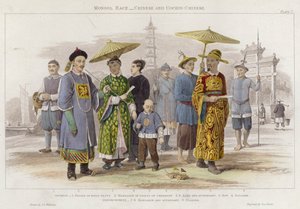 Mongol Race, Chinês e Cochin-Chinês (gravura colorida)