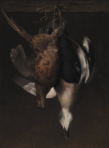 Jogo. Um faisão e um eider