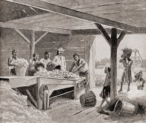 Escravos trabalhando com um descaroçador de algodão do século XIX em uma plantação em um estado do sul dos Estados Unidos da América, de "The History of Our Country", publicado em 1905 (litho)