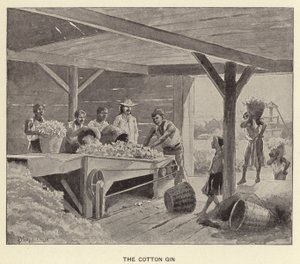 O Gin de Algodão (litho)