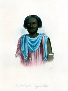 Um Melik dos árabes Shegyia, c1840. de J. Bull