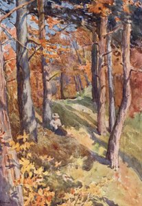 Na floresta de Sauvabelin, acima de Lausanne (litografia a cores) de J. Hardwicke Lewis