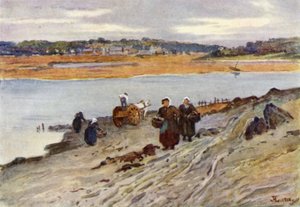 Reunião de algas marinhas no Estuário da Rança (cor litho)