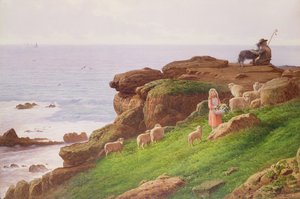O cordeiro do animal de estimação