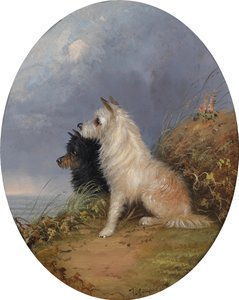 Dois cachorros na praia de J. Langlois