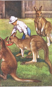rapaz australiano, de cartazes escolares MacMillan, c.1950-60s (cor litho) de J. Macfarlane