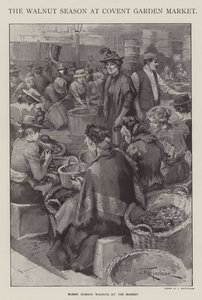 A época das nozes em Covent Garden Market, Londres (litho)