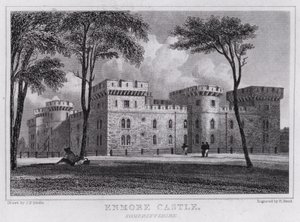 Castelo de Enmore, Somersetshire (gravura) de John Preston Neale
