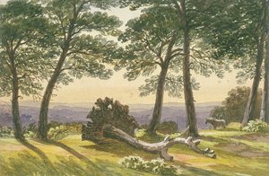 Hampstead Heath, Londres, c1830 de J Powell