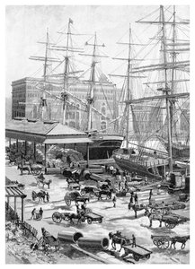 Transporte, Circular Quay, Sydney, Nova Gales do Sul, Austrália, 1886.