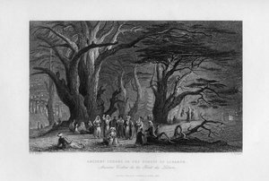 Cedros antigos na floresta do Líbano, 1841