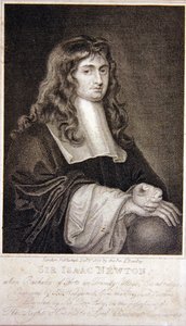Sir Isaac Newton de J. T. Wedgewood