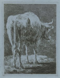 Vaca em uma paisagem de Jabes Heenck