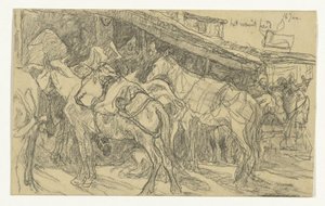 Mulas e burros na Grand Place em Tânger de Jac van Looij
