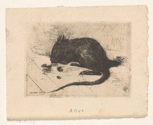 Outros de Jac van Looij
