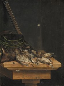 Pássaros Mortos de Jacob Biltius