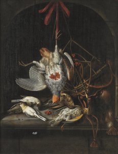 Aves Silvestres Mortas de Jacob Biltius