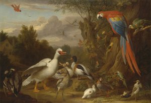 Uma Arara, Patos, Papagaios e Outras Aves numa Paisagem de Jacob Bogdani