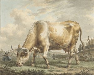 Vaca de pasto