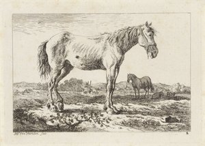 Cavalo em pé em uma paisagem Seis gravuras após desenhos de vários mestres (título da série)