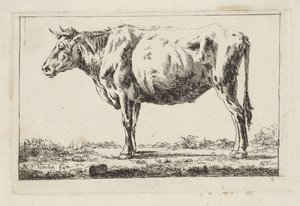 Vaca em pé, à esquerda