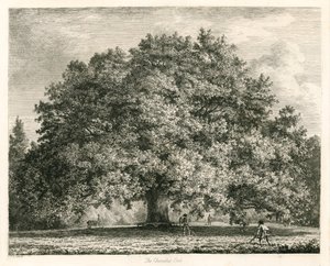 O carvalho de Chandos, casa de Michendon, Southgate, Londres de Jacob George Strutt