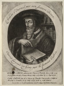 João Calvino de Jacob Gole