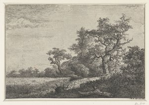 O campo de milho de Jacob van Ruisdael