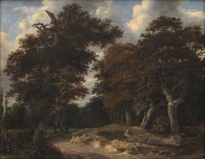 Estrada através de uma floresta de carvalhos de Jacob van Ruisdael