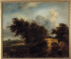 A Pintura de arbusto de Jacob Isaakszoon van Ruisdael (Ruysdael) (1628-1682) Sol do século XVII. 0,68 x 0,82 m de Jacob van Ruisdael