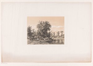 Vacas em repouso junto à água de Jacob Jan van der Maaten
