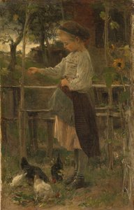 Alimentação de frangos de Jacob Maris