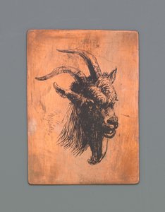 Cabeça de um dólar de Jacob Maris